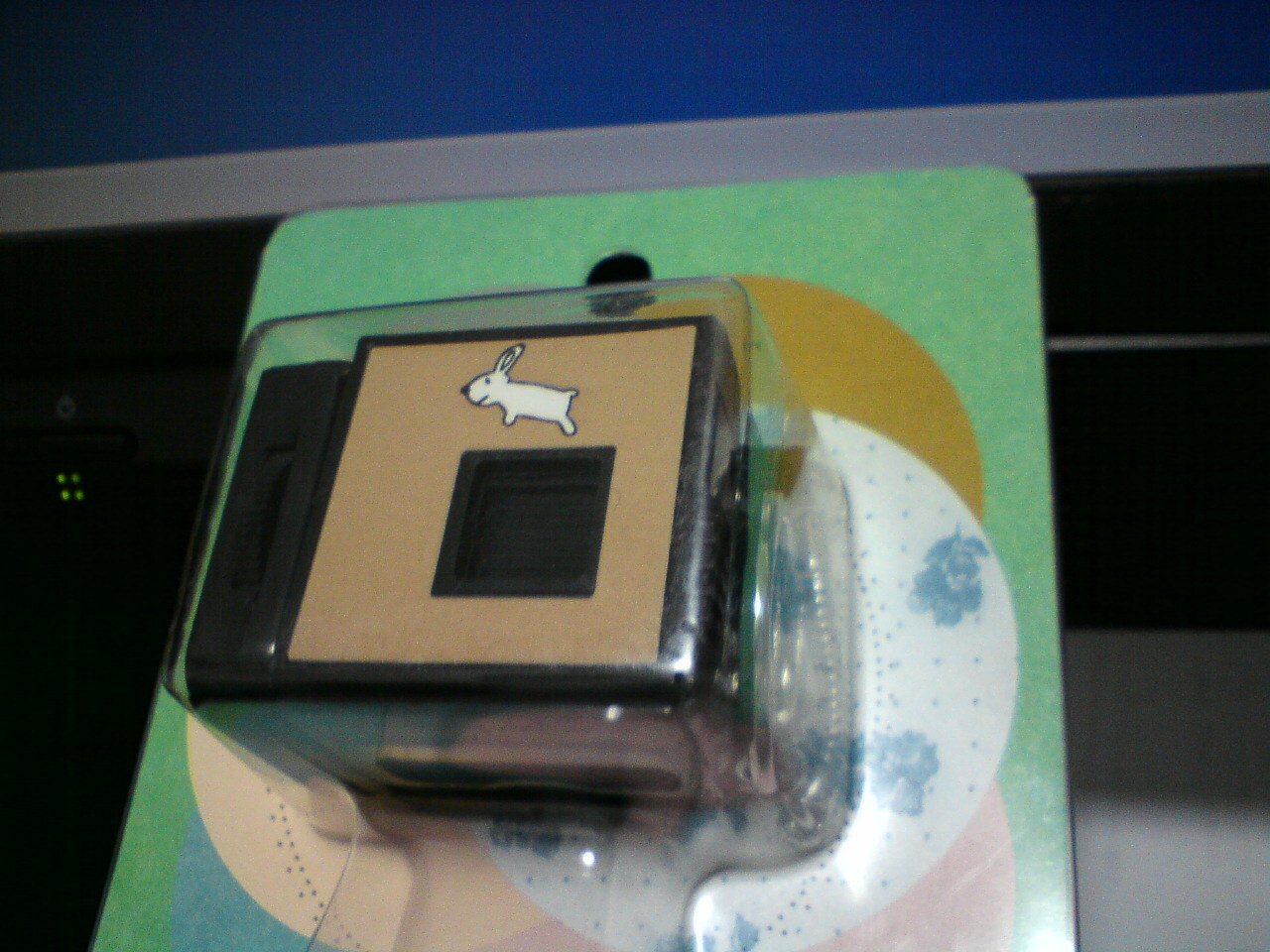 ネザーランドドワーフ みるくの写真 - 20090226223905.jpg