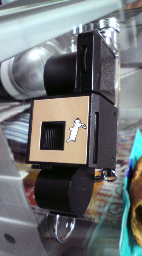 ネザーランドドワーフ みるくの写真 - 20090226224845.jpg