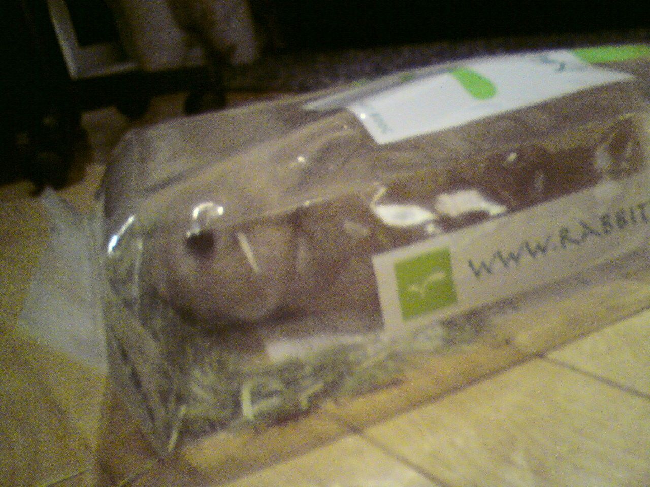 ネザーランドドワーフ みるくの写真 - 20090602005513.jpg