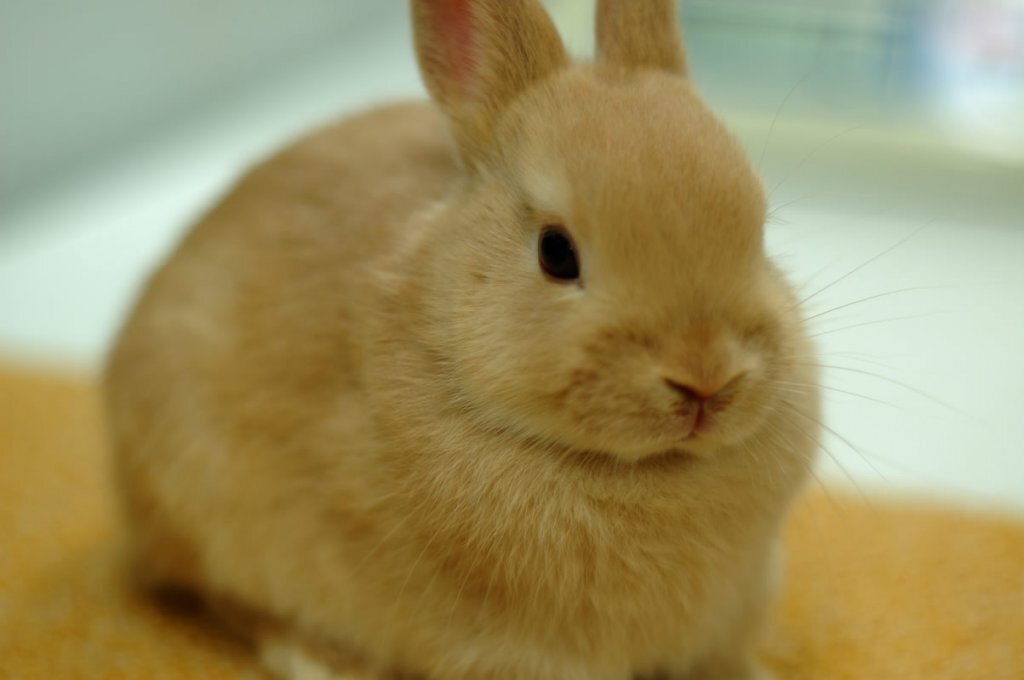 来週はお引っ越しだよぉ～！