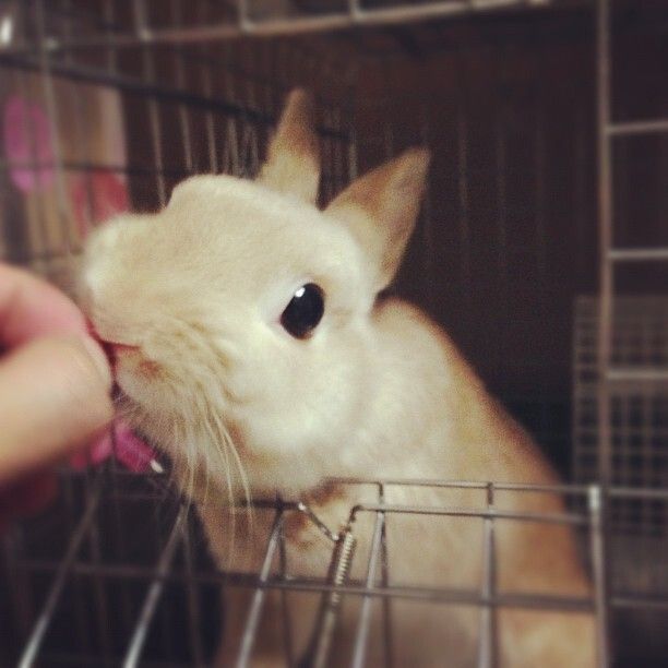 もぐもぐ