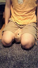 大人しいみるく