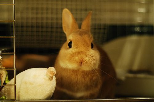 ドキッ（゜ε゜;）