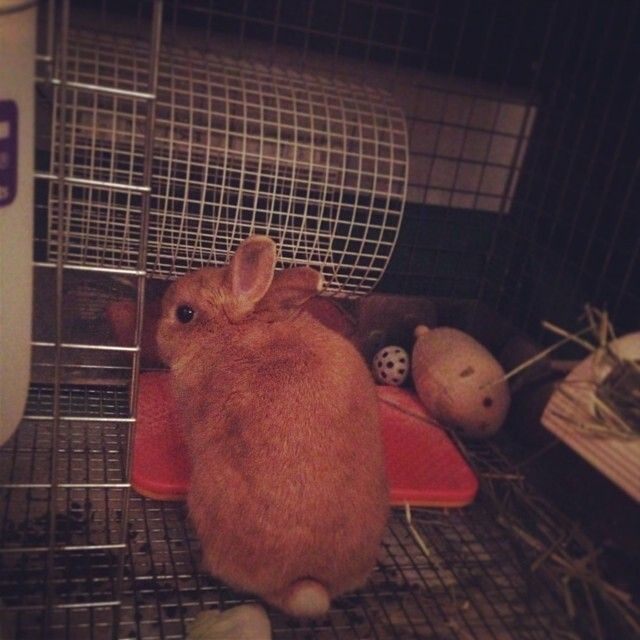 呼んでも、ヒーターから離れません(´･_･`)