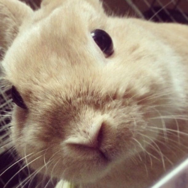 IOS7のカメラで試し撮りの巻