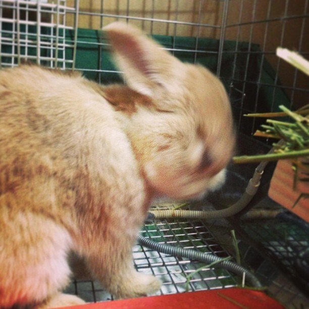 (＞人＜;)