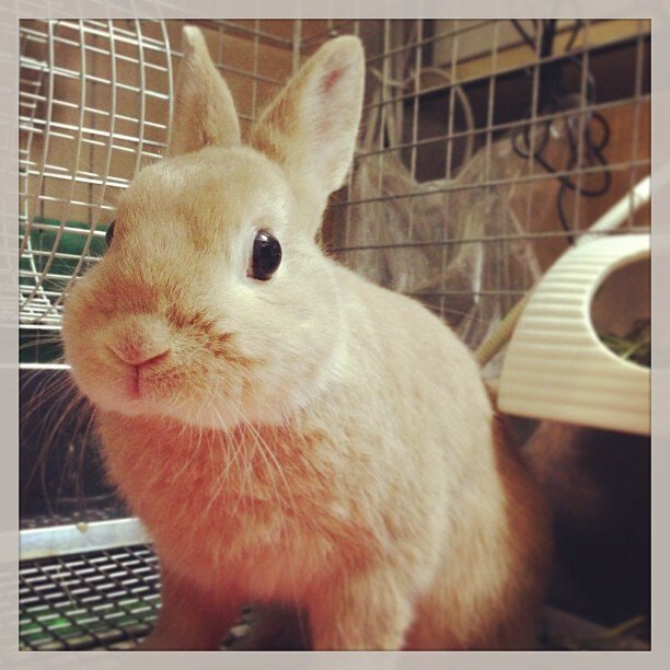 五歳になりました！！