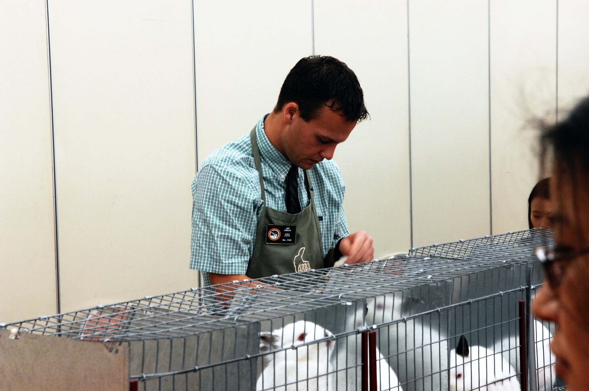 ネザーランドドワーフ みるくの写真 - DSC_1592.JPG