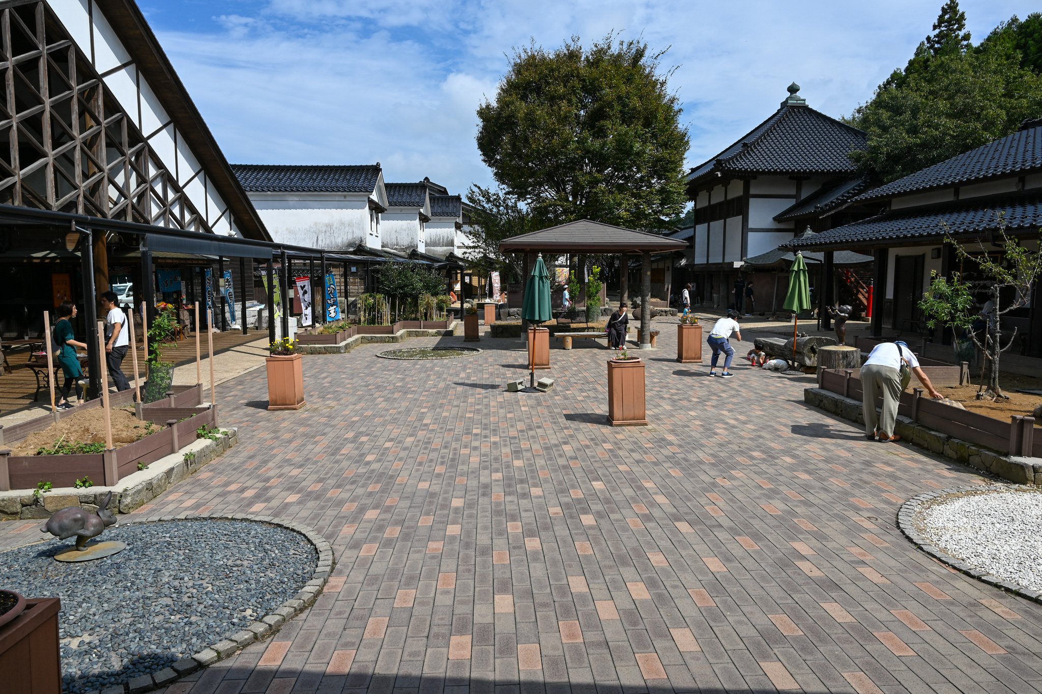 ネザーランドドワーフ みるくの写真 - DSC_2767.jpg