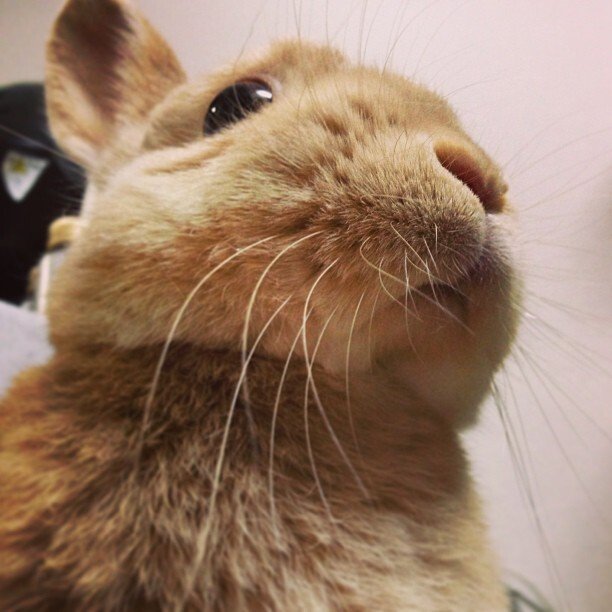 受験生のみんながんばってね！って、これを見ている時点でどうかとおもうよ( ^ω^ )