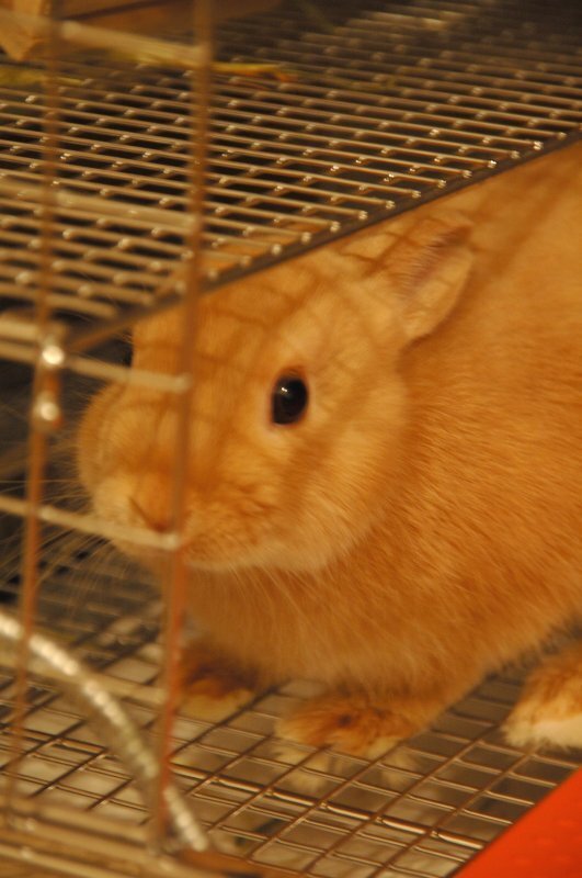 僕のおうちを紹介するよ！