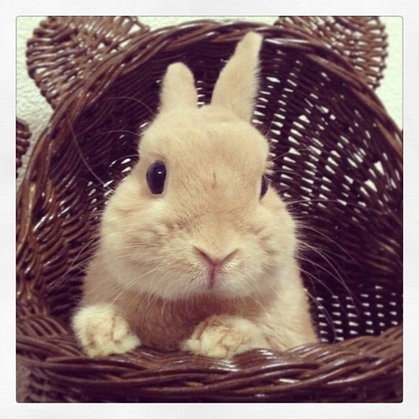 出たいんだけどね♫