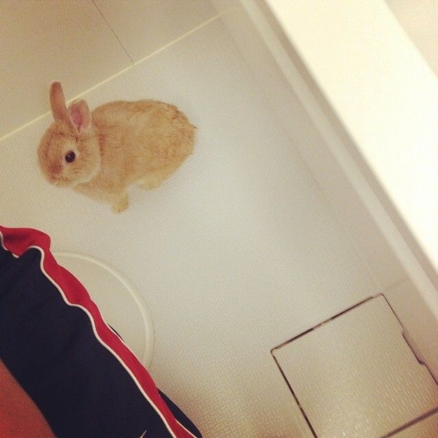 お風呂