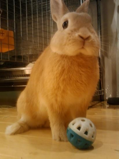 ワールドカップ面白かったね！！