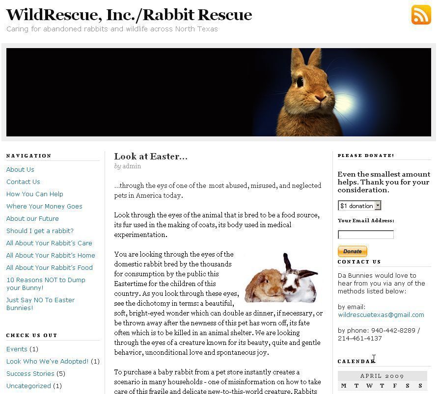 僕の写真が海外で使われたよ！